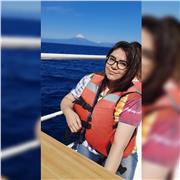 Apoyo online en inglés básica-media-superior